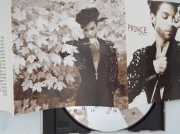 Prince the Hits VOL1 CD267 (5) (Copy)